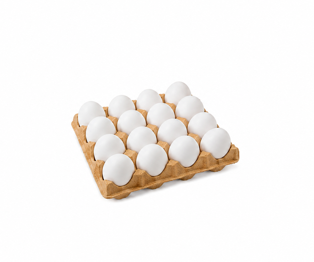 BANDEJAS DE  15 HUEVOS