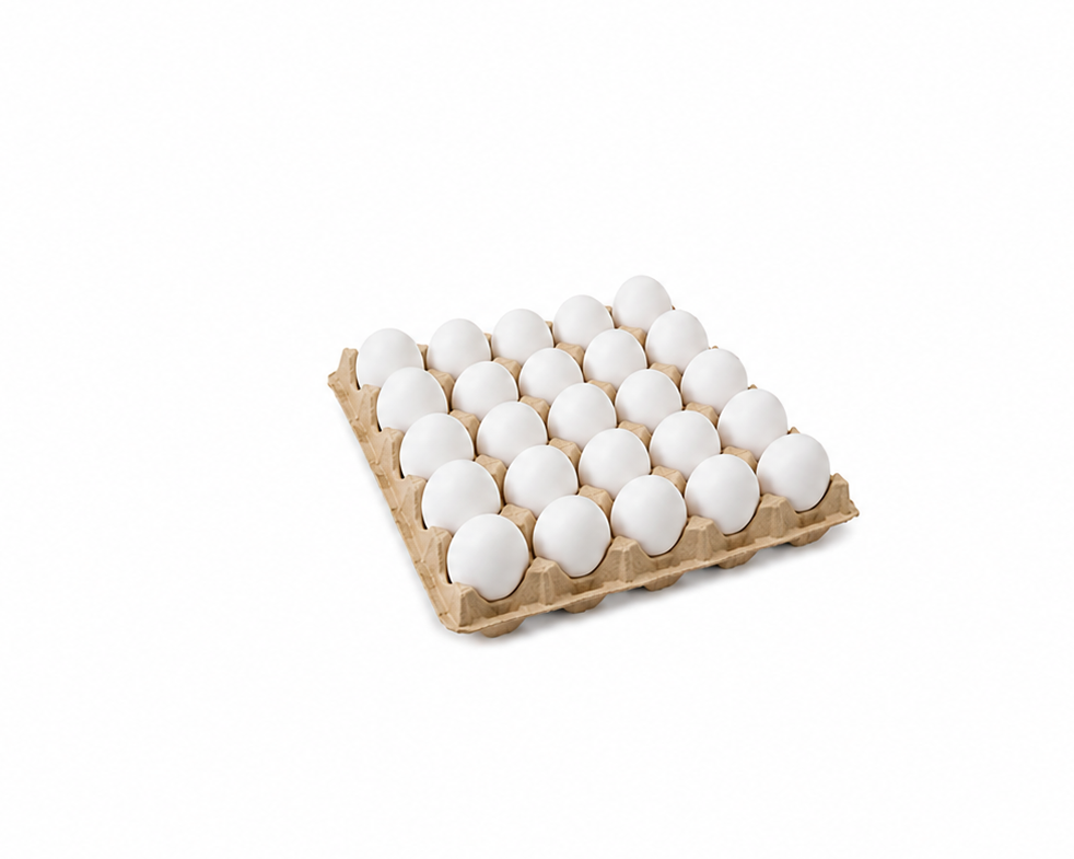 BANDEJA DE 30 HUEVOS